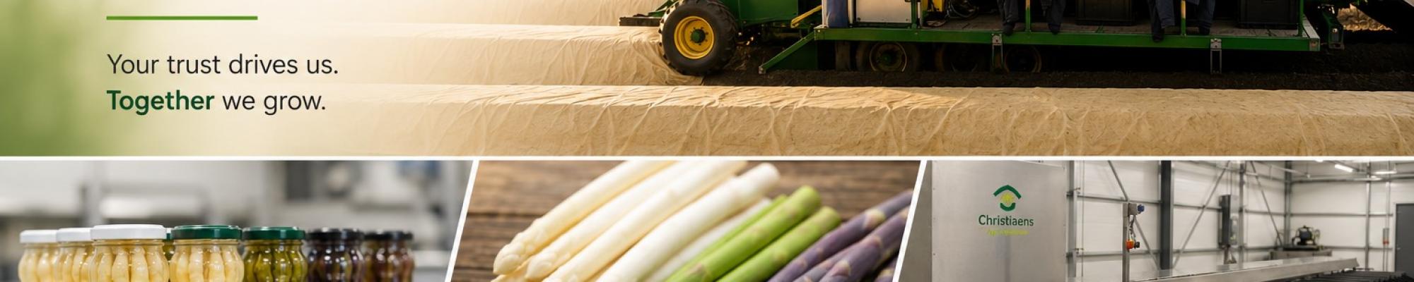 End of the asparagus season 2026